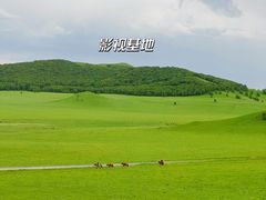 -乌兰布统草原