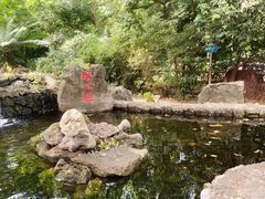 -海口火山口国家地质公园