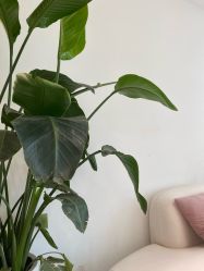 -Dr.Jane皮肤管理中心