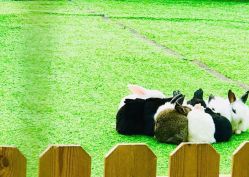 -萌宠亲子动物乐园(槐房万达店)