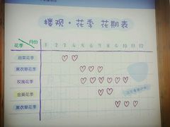 -曲江薰衣草庄园