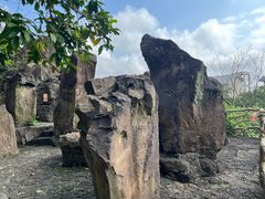 -海口火山口国家地质公园