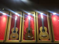 -何顺华吉他沙龙