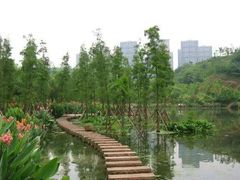 -重庆彩云湖湿地公园