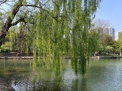 -白塘生态植物园