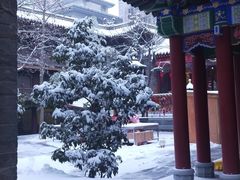 -罔极寺