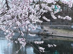 -安定门(地铁站)