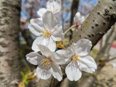 -幕燕滨江·长江观音景区