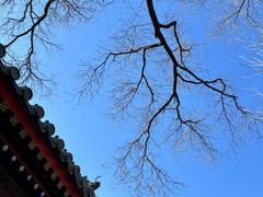 -贤良祠