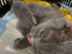 -拜鲁耶动物诊疗中心·宠家动物医院