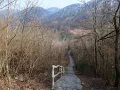 -四明山国家森林公园