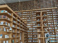 -朵云书院(滴水湖店)