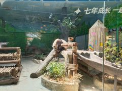-灵玲国际马戏城