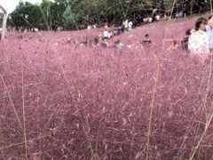 -牛岗山公园