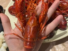 -巴厘龙虾·榜首油焖大虾(洞庭·艺术洋房店)