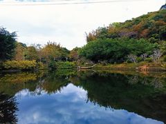 -广州市帽峰山景区