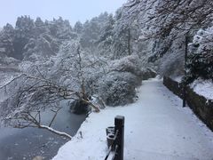 -庐山风景区花径公园