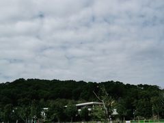 -牛岗山公园