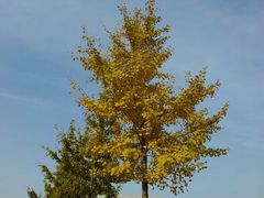 -防灾科技学院(南校区)