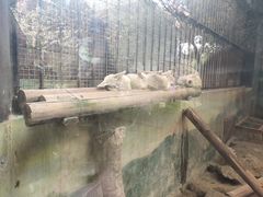 -昆明动物园