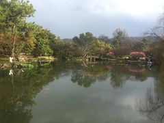 -西湖外事游船(湖滨二公园外事游船码头)