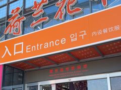 -荷兰花海