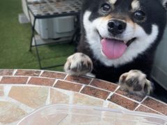 -好利来(柳北店)