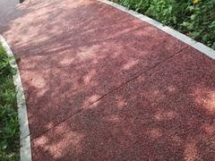 -长春公园(普阳街道)