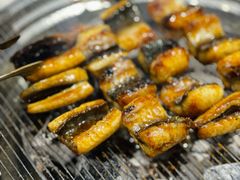 -本炙炭烤·蒲烧活鳗料理店(金沙洲店)