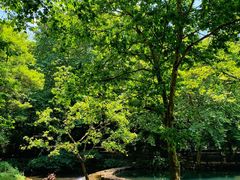 -阿哈湖国家湿地公园
