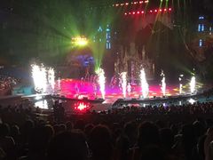 -广州长隆国际大马戏