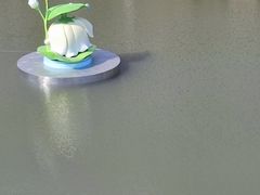 -琅岐红光湖公园
