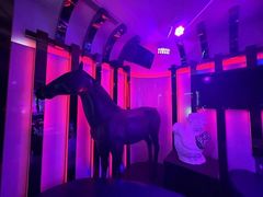 -VIVA·百人年会团建篮球场轰趴馆