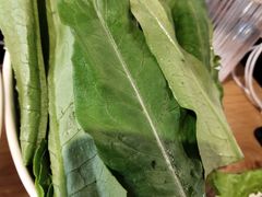 -珍巴奴毛肚牛肉小火锅(四惠店)