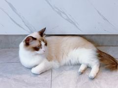 -益杯半舍·Yippee Barseh(宇宏健康花城店)