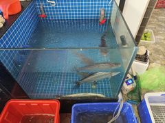 -宾湖农庄·农场特色(太湖龙之梦店)
