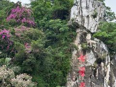 -星湖旅游景区七星岩