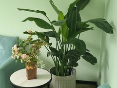 -壹点灵·心理咨询中心(中山公园店)