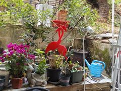 -鱼乐岛餐厅·户外花园主题餐厅