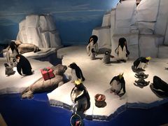 -成都泰迪熊博物馆