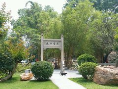 -晓港公园