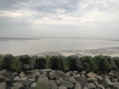 -南汇嘴观海公园