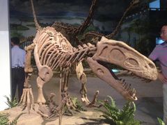 -自贡恐龙博物馆