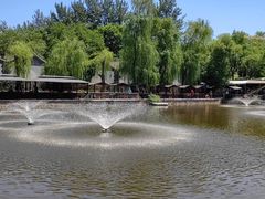 -尚庄度假村·庭台树下·户外烧烤·团建CS·轰趴营地(上庄水库店)