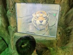-佛山科学馆