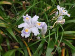 -南山风景名胜区