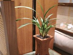 -南堂小馆·川菜馆(德商国际店)