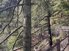 -秦岭天竺山生态文化旅游景区