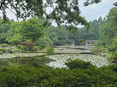 -杭州植物园