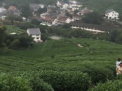 -楼外楼(玉泉店)